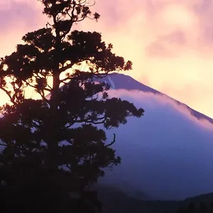 https://hananoyado-fukuya.kanagawa-hotels.com